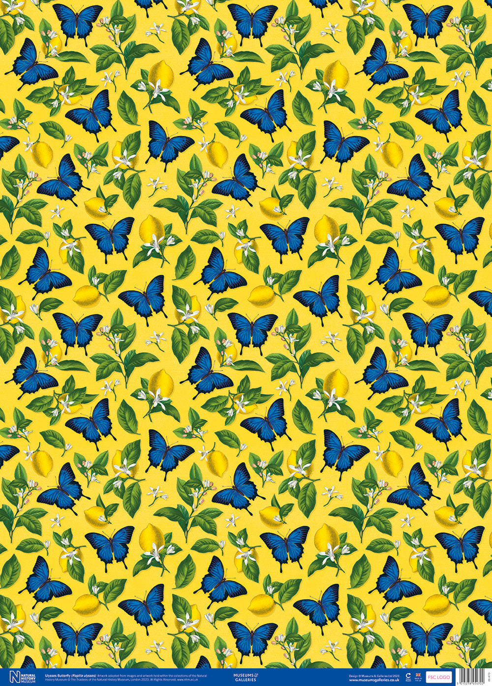 Ulysses Butterfly Gift Wrap