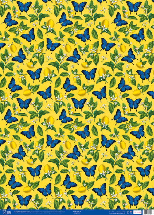 Ulysses Butterfly Gift Wrap