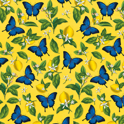 Ulysses Butterfly Gift Wrap