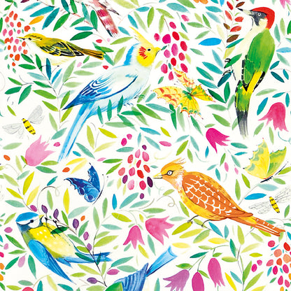 Birds Design Square Notecard Pack