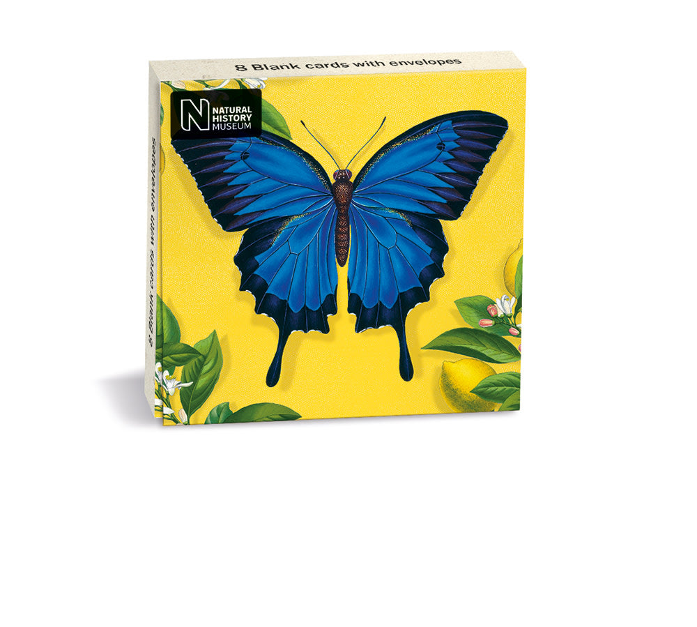 Ulysses Butterfly Mini Wallet Notecards