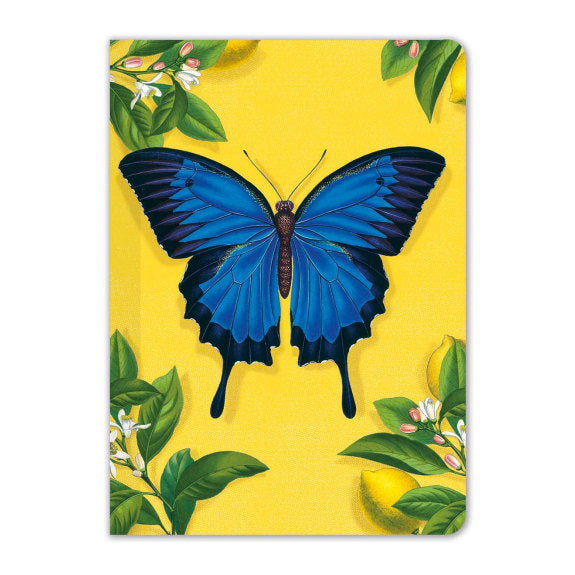 Ulysses Butterfly Mini Notebook
