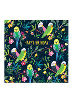 Happy Birthday Parrots